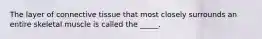 The layer of connective tissue that most closely surrounds an entire skeletal muscle is called the _____.