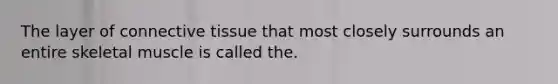 The layer of <a href='https://www.questionai.com/knowledge/kYDr0DHyc8-connective-tissue' class='anchor-knowledge'>connective tissue</a> that most closely surrounds an entire skeletal muscle is called the.