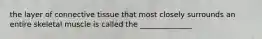the layer of connective tissue that most closely surrounds an entire skeletal muscle is called the ______________