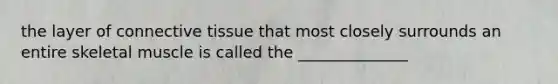 the layer of connective tissue that most closely surrounds an entire skeletal muscle is called the ______________