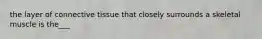 the layer of connective tissue that closely surrounds a skeletal muscle is the___