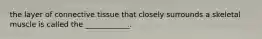 the layer of connective tissue that closely surrounds a skeletal muscle is called the ____________.