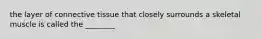 the layer of connective tissue that closely surrounds a skeletal muscle is called the ________