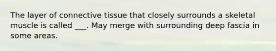 The layer of connective tissue that closely surrounds a skeletal muscle is called ___. May merge with surrounding deep fascia in some areas.