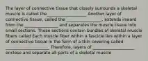 The layer of connective tissue that closely surrounds a skeletal muscle is called the___________________ Another layer of connective tissue, called the _________________, extends inward from the ________________ and separates the muscle tissue into small sections. These sections contain bundles of skeletal muscle fibers called Each muscle fiber within a fascicle lies within a layer of connective tissue in the form of a thin covering called _____________________ Therefore, layers of ____________________ enclose and separate all parts of a skeletal muscle