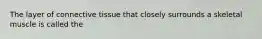 The layer of connective tissue that closely surrounds a skeletal muscle is called the