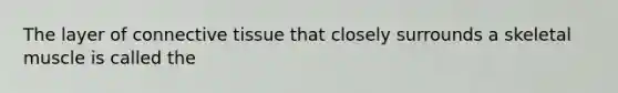 The layer of connective tissue that closely surrounds a skeletal muscle is called the