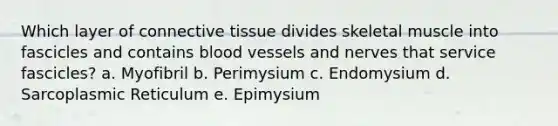 Which layer of <a href='https://www.questionai.com/knowledge/kYDr0DHyc8-connective-tissue' class='anchor-knowledge'>connective tissue</a> divides skeletal muscle into fascicles and contains <a href='https://www.questionai.com/knowledge/kZJ3mNKN7P-blood-vessels' class='anchor-knowledge'>blood vessels</a> and nerves that service fascicles? a. Myofibril b. Perimysium c. Endomysium d. Sarcoplasmic Reticulum e. Epimysium