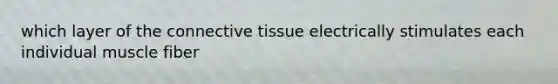 which layer of the connective tissue electrically stimulates each individual muscle fiber