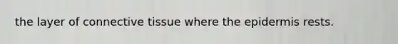 the layer of <a href='https://www.questionai.com/knowledge/kYDr0DHyc8-connective-tissue' class='anchor-knowledge'>connective tissue</a> where <a href='https://www.questionai.com/knowledge/kBFgQMpq6s-the-epidermis' class='anchor-knowledge'>the epidermis</a> rests.