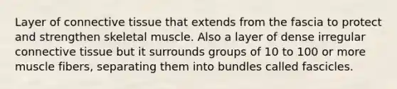 Layer of connective tissue that extends from the fascia to protect and strengthen skeletal muscle. Also a layer of dense irregular connective tissue but it surrounds groups of 10 to 100 or more muscle fibers, separating them into bundles called fascicles.