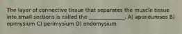 The layer of connective tissue that separates the muscle tissue into small sections is called the ______________. A) aponeuroses B) epimysium C) perimysium D) endomysium