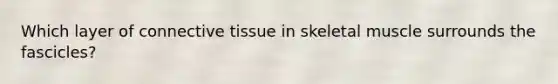 Which layer of connective tissue in skeletal muscle surrounds the fascicles?