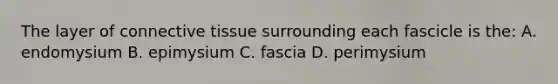 The layer of connective tissue surrounding each fascicle is the: A. endomysium B. epimysium C. fascia D. perimysium