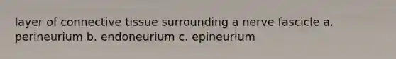 layer of connective tissue surrounding a nerve fascicle a. perineurium b. endoneurium c. epineurium