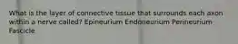 What is the layer of connective tissue that surrounds each axon within a nerve called? Epineurium Endoneurium Perineurium Fascicle