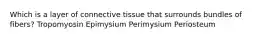 Which is a layer of connective tissue that surrounds bundles of fibers? Tropomyosin Epimysium Perimysium Periosteum