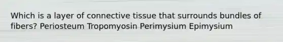 Which is a layer of connective tissue that surrounds bundles of fibers? Periosteum Tropomyosin Perimysium Epimysium