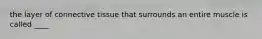 the layer of connective tissue that surrounds an entire muscle is called ____