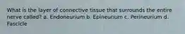 What is the layer of connective tissue that surrounds the entire nerve called? a. Endoneurium b. Epineurium c. Perineurium d. Fascicle