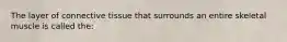The layer of connective tissue that surrounds an entire skeletal muscle is called the: