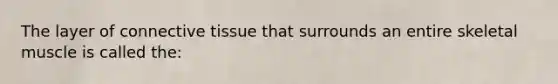 The layer of <a href='https://www.questionai.com/knowledge/kYDr0DHyc8-connective-tissue' class='anchor-knowledge'>connective tissue</a> that surrounds an entire skeletal muscle is called the: