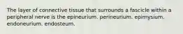 The layer of connective tissue that surrounds a fascicle within a peripheral nerve is the epineurium. perineurium. epimysium. endoneurium. endosteum.