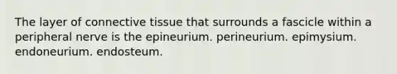 The layer of <a href='https://www.questionai.com/knowledge/kYDr0DHyc8-connective-tissue' class='anchor-knowledge'>connective tissue</a> that surrounds a fascicle within a peripheral nerve is the epineurium. perineurium. epimysium. endoneurium. endosteum.