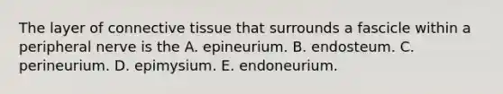 The layer of connective tissue that surrounds a fascicle within a peripheral nerve is the A. epineurium. B. endosteum. C. perineurium. D. epimysium. E. endoneurium.