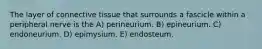 The layer of connective tissue that surrounds a fascicle within a peripheral nerve is the A) perineurium. B) epineurium. C) endoneurium. D) epimysium. E) endosteum.