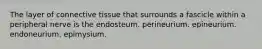 The layer of connective tissue that surrounds a fascicle within a peripheral nerve is the endosteum. perineurium. epineurium. endoneurium. epimysium.