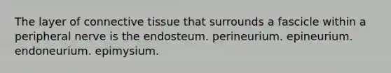 The layer of connective tissue that surrounds a fascicle within a peripheral nerve is the endosteum. perineurium. epineurium. endoneurium. epimysium.