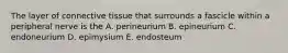 The layer of connective tissue that surrounds a fascicle within a peripheral nerve is the A. perineurium B. epineurium C. endoneurium D. epimysium E. endosteum