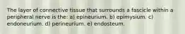 The layer of connective tissue that surrounds a fascicle within a peripheral nerve is the: a) epineurium. b) epimysium. c) endoneurium. d) perineurium. e) endosteum.