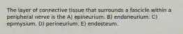 The layer of connective tissue that surrounds a fascicle within a peripheral nerve is the A) epineurium. B) endoneurium. C) epimysium. D) perineurium. E) endosteum.