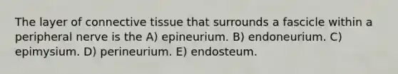 The layer of connective tissue that surrounds a fascicle within a peripheral nerve is the A) epineurium. B) endoneurium. C) epimysium. D) perineurium. E) endosteum.