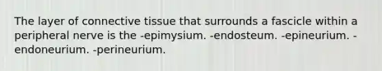 The layer of connective tissue that surrounds a fascicle within a peripheral nerve is the -epimysium. -endosteum. -epineurium. -endoneurium. -perineurium.