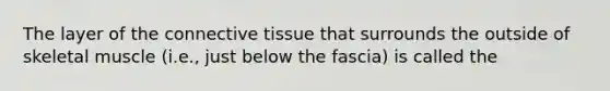 The layer of the connective tissue that surrounds the outside of skeletal muscle (i.e., just below the fascia) is called the