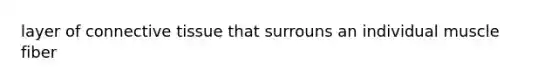 layer of connective tissue that surrouns an individual muscle fiber