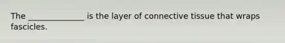 The ______________ is the layer of connective tissue that wraps fascicles.