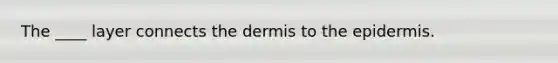 The ____ layer connects the dermis to the epidermis.