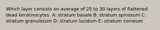 Which layer consists on average of 25 to 30 layers of flattened dead keratinocytes. A: stratum basale B: stratum spinosum C: stratum granulosum D: stratum lucidum E: stratum corneum