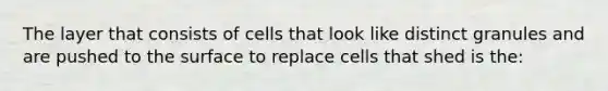 The layer that consists of cells that look like distinct granules and are pushed to the surface to replace cells that shed is the: