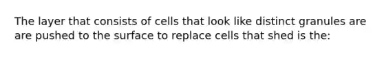 The layer that consists of cells that look like distinct granules are are pushed to the surface to replace cells that shed is the: