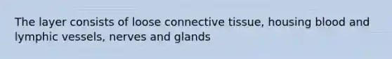 The layer consists of loose connective tissue, housing blood and lymphic vessels, nerves and glands