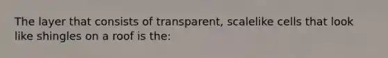 The layer that consists of transparent, scalelike cells that look like shingles on a roof is the: