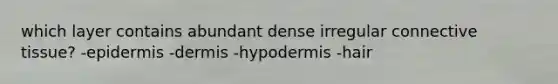 which layer contains abundant dense irregular connective tissue? -epidermis -dermis -hypodermis -hair