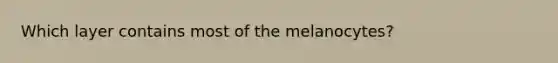 Which layer contains most of the melanocytes?