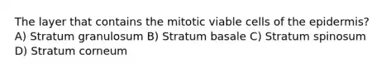 The layer that contains the mitotic viable cells of the epidermis? A) Stratum granulosum B) Stratum basale C) Stratum spinosum D) Stratum corneum