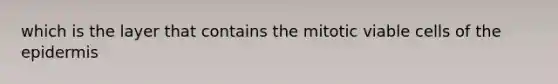 which is the layer that contains the mitotic viable cells of the epidermis